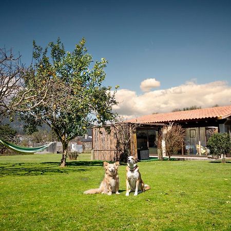 トゥイ Casa Barrosヴィラ エクステリア 写真