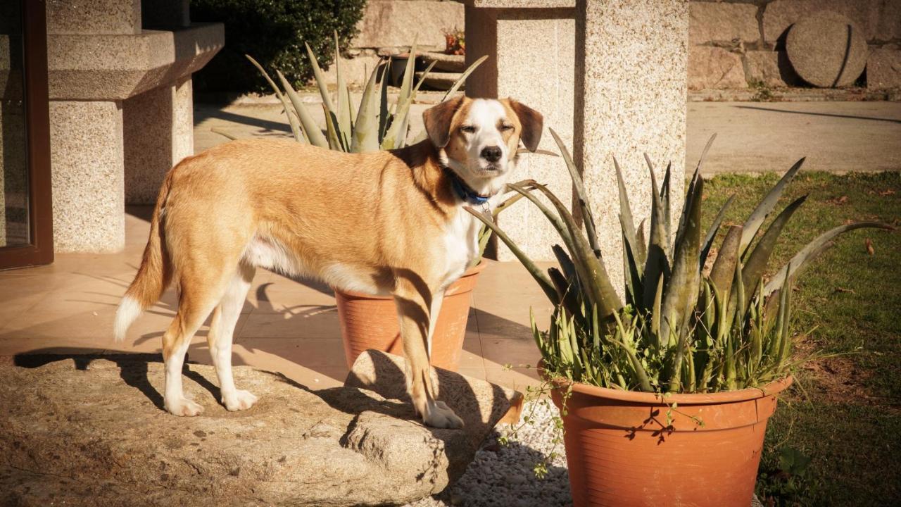 トゥイ Casa Barrosヴィラ エクステリア 写真