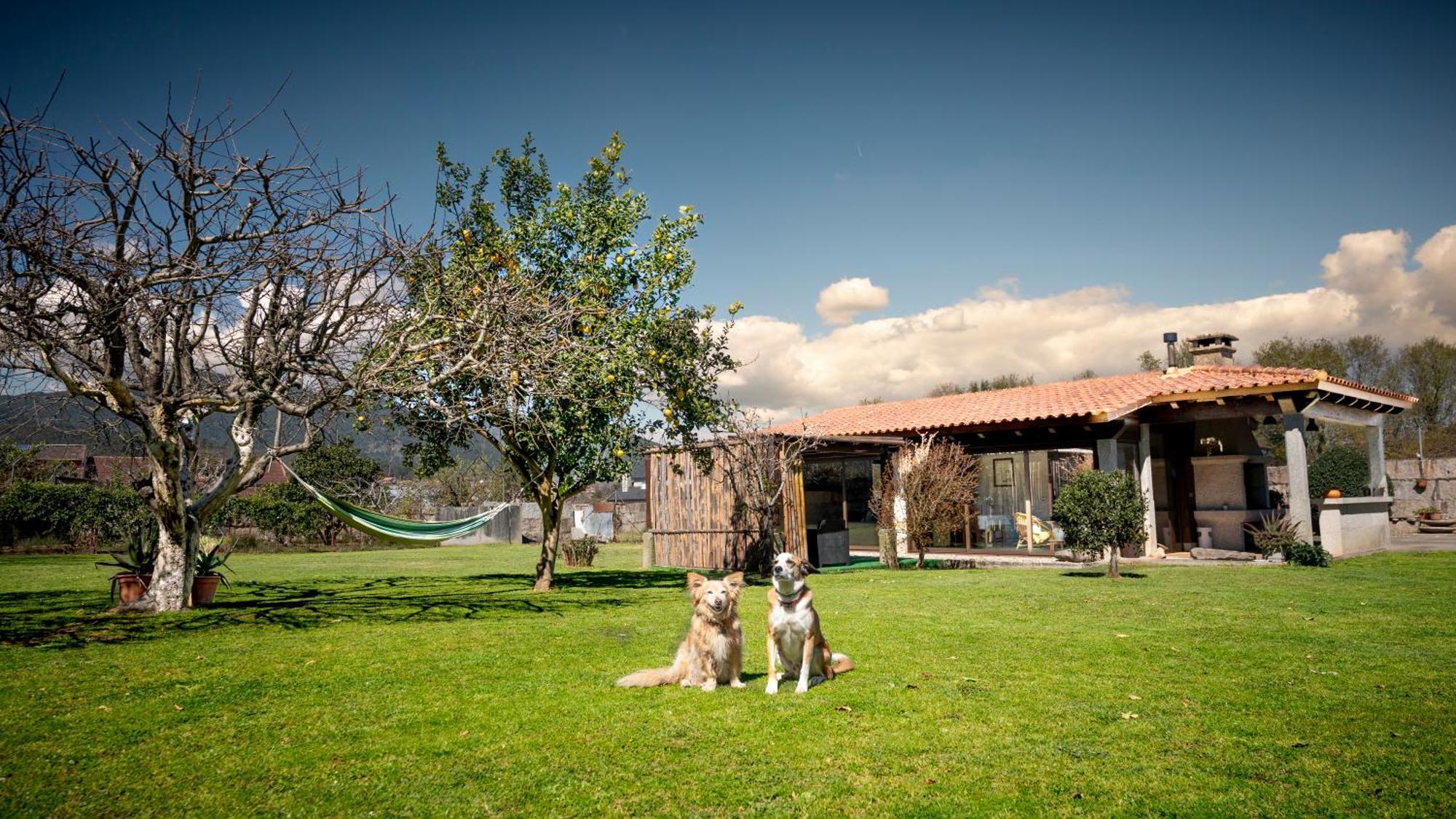 トゥイ Casa Barrosヴィラ エクステリア 写真